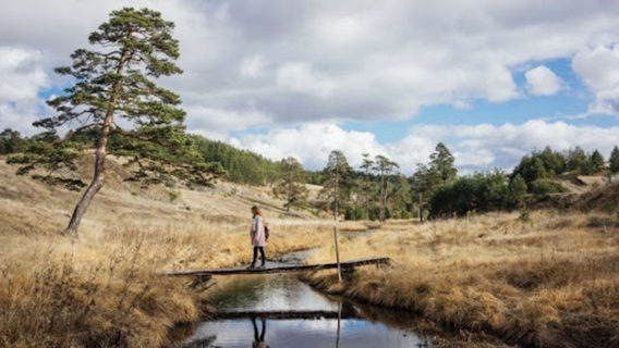 Zlatibor