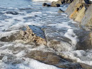 Alkateeb coast