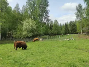 Karvosen Puutarha