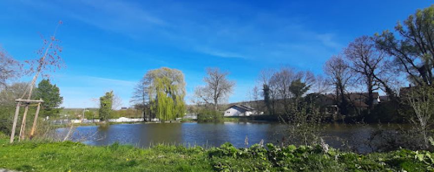 See Lehrensteinsfeld