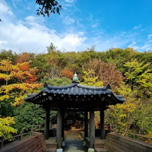 완도수목원
