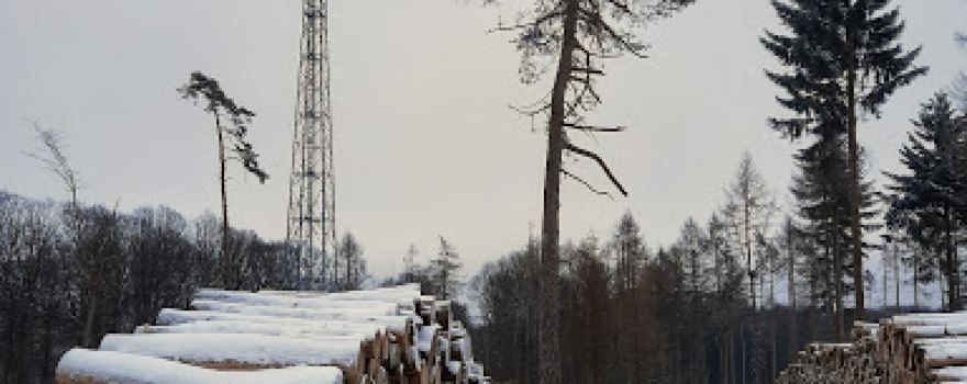 Waldspielplatz Welschneudorf