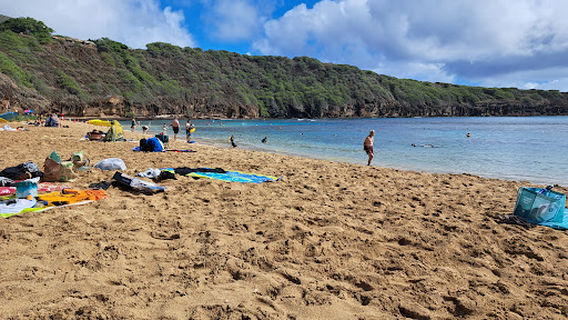 Captain Cook Snorkeling Cruises