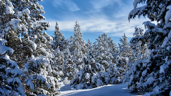 Pilot Butte Neighborhood Park