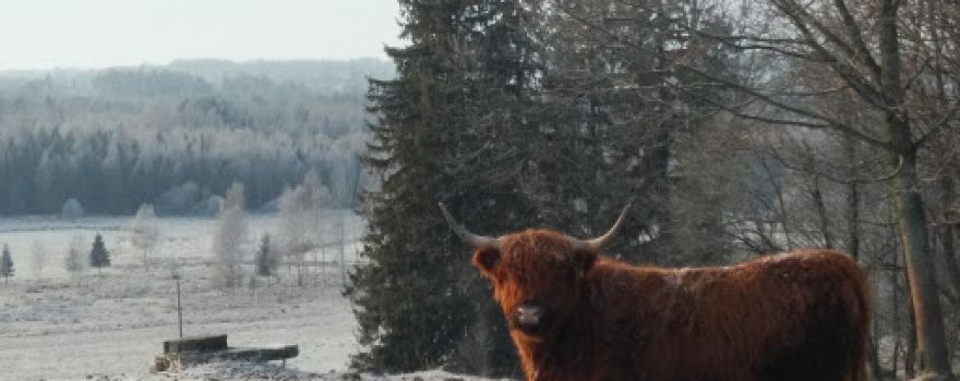 Päri spordihoone