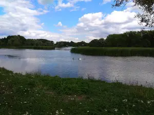 Park "Palats"