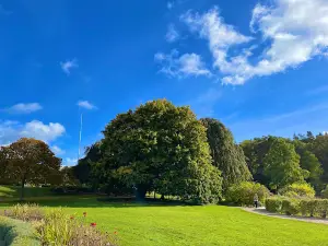 Torups rekreationsområde Bokskogen