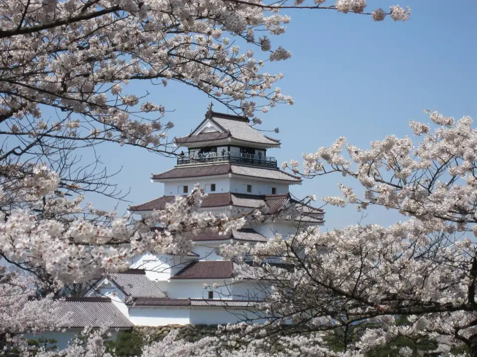 5_Tsuruga Castle