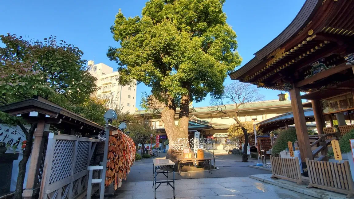 2_Yushima Tenjin Shrine