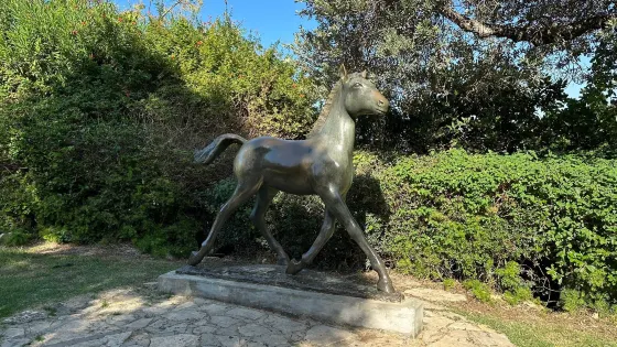Sculptures Garden