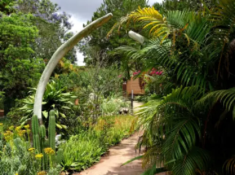 Croc Farm Conservatoire Botanique de Madagascar