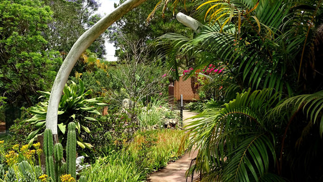 Croc Farm Conservatoire Botanique de Madagascar