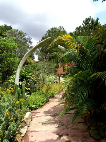 Croc Farm Conservatoire Botanique de Madagascar