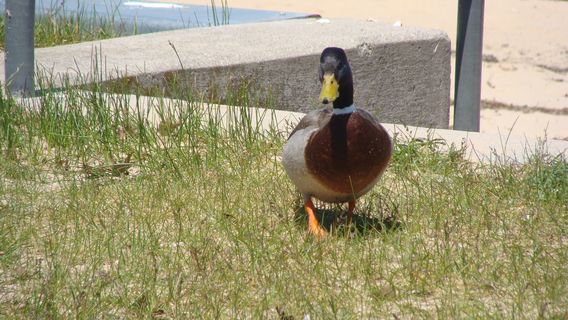 Keith J. Charters Traverse City State Park