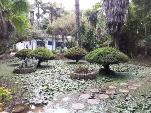 Les Jardins Exotiques de Bouknadel