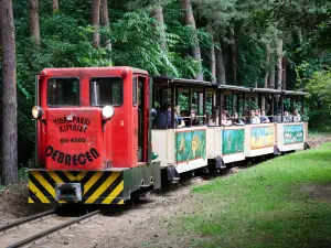 Debrecen Zoo and Amusement Park