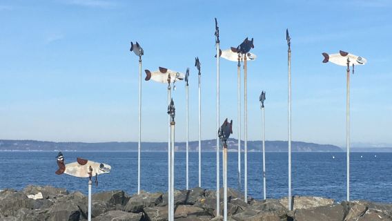 Marina Beach Park