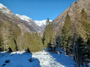 Schloss Savoyen