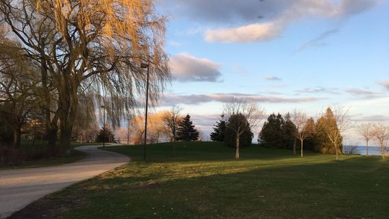 J.C. Saddington Park