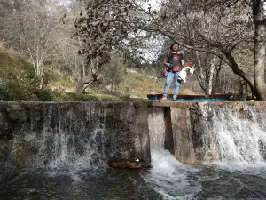 El Arcotete