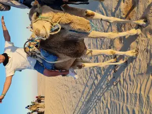 Sahara