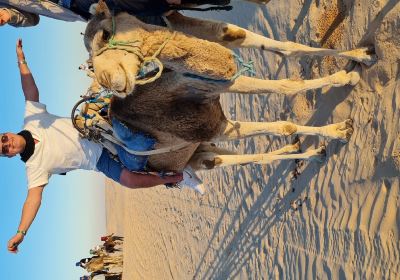 Sahara
