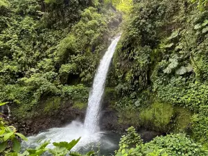 Jardins da Cachoeira de La Paz