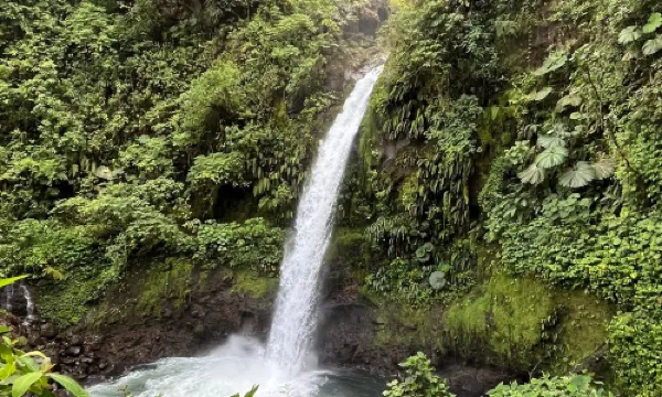 Jardins da Cachoeira de La Paz