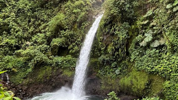 La Paz Waterfall Gardens