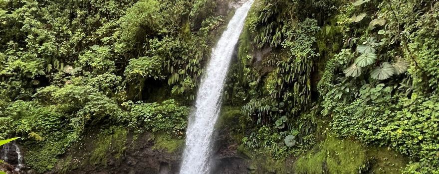 Naturschutzgebiet La Paz Waterfall Gardens