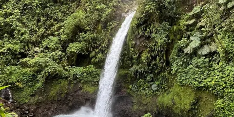 拉巴斯瀑布花園