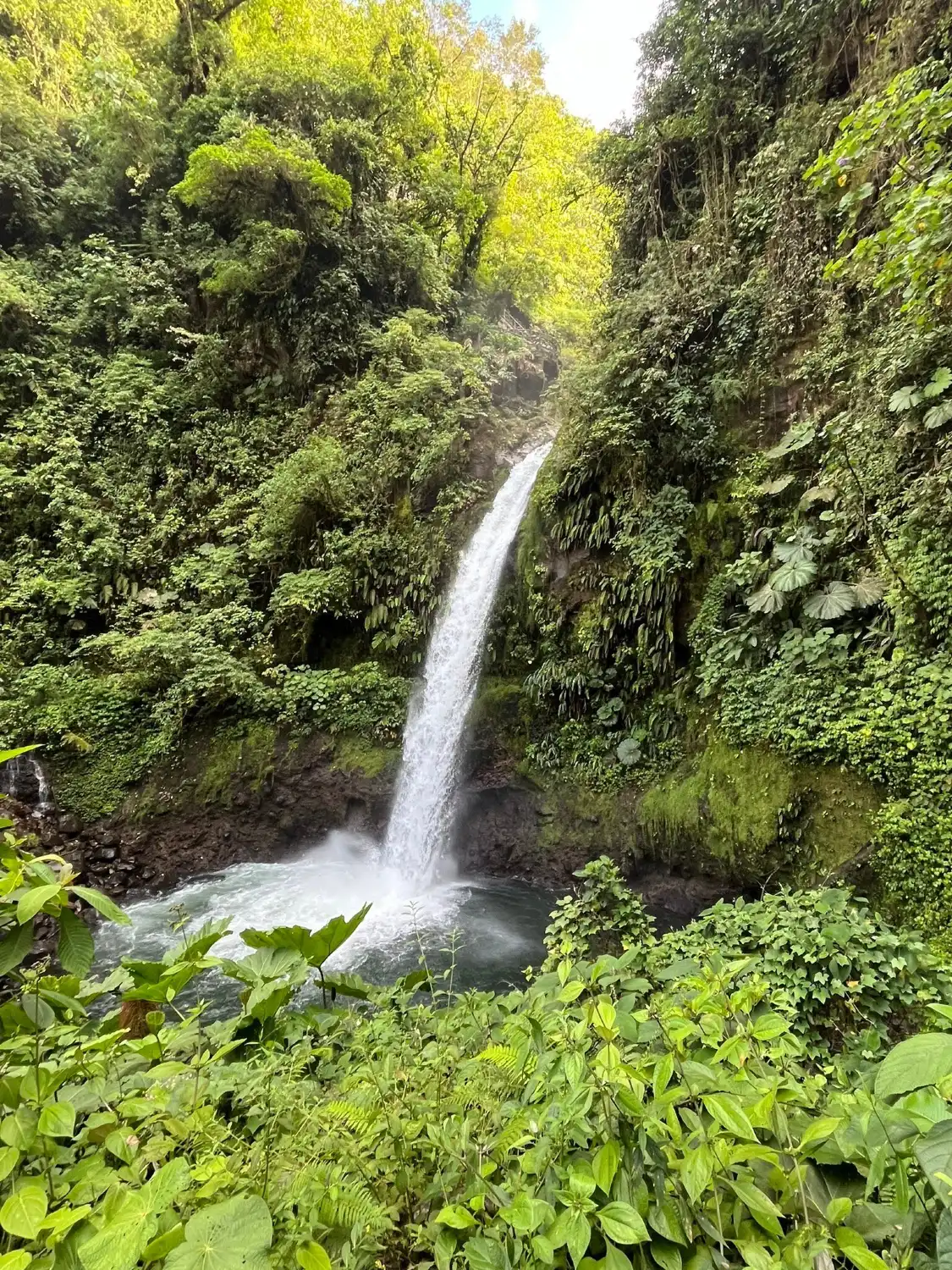 Các khách sạn gần Jardins da Cachoeira de La Paz