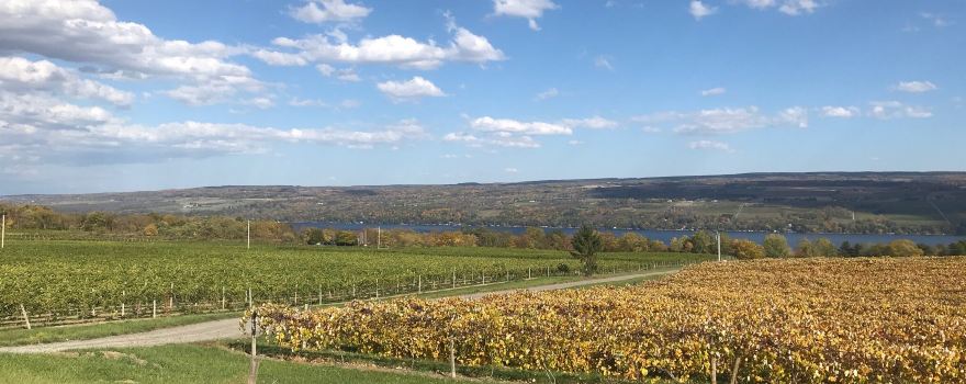 Anthony Road Wine Company
