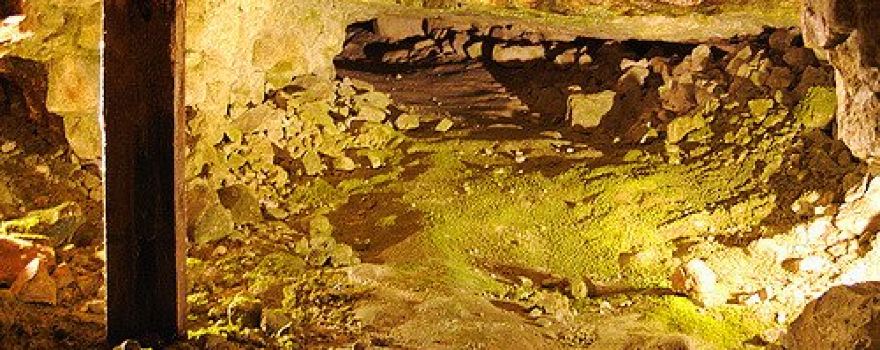 English Heritage - Grime's Graves - Prehistoric Flint Mine