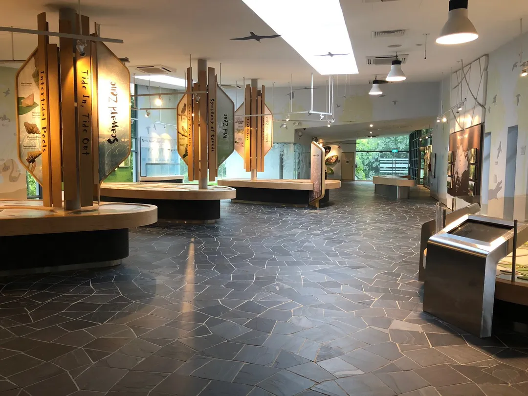 2_雙溪布洛濕地保護區