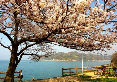 新居濱市