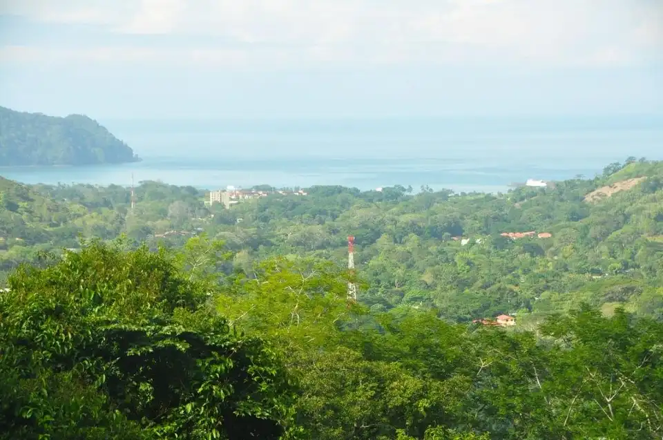 5_Canopy Vista Los Suenos
