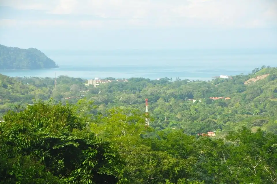 5_Canopy Vista Los Suenos