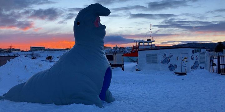 オホーツクとっかりセンター(アザラシランド)