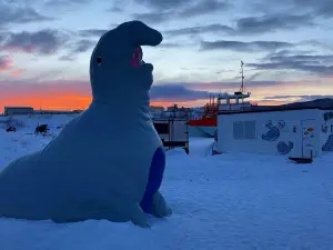 Okhotsk Tokkari Center (Seal Land)