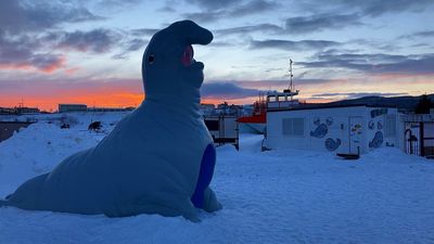Okhotsk Tokkari Center (Seal Land)