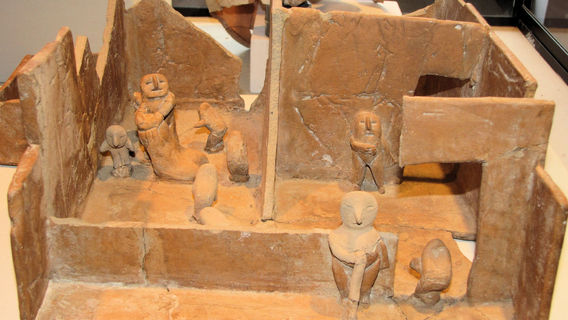 Didactic Museum Antonini (Museo Antonini)