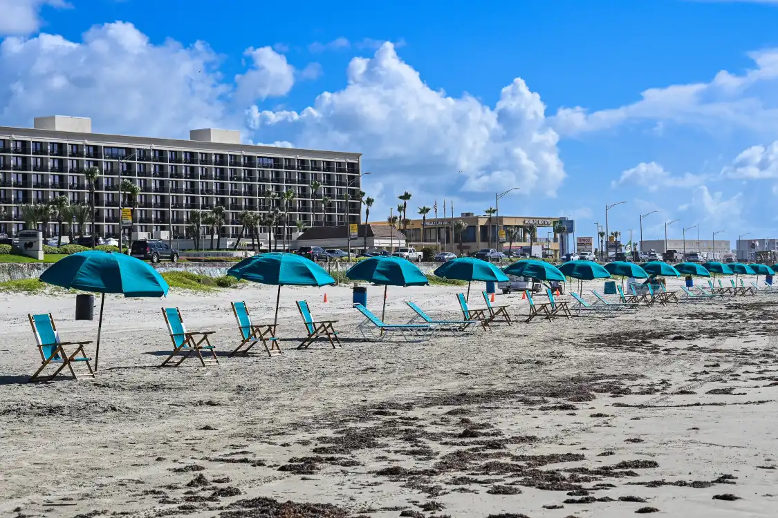 The Seawall附近的飯店