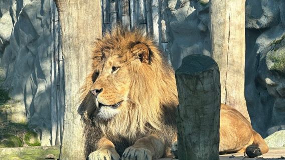 Zoo Olomouc