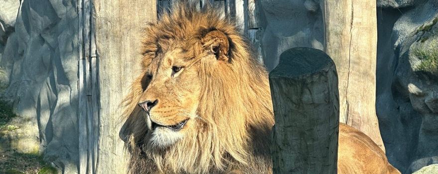 Zoo Olomouc