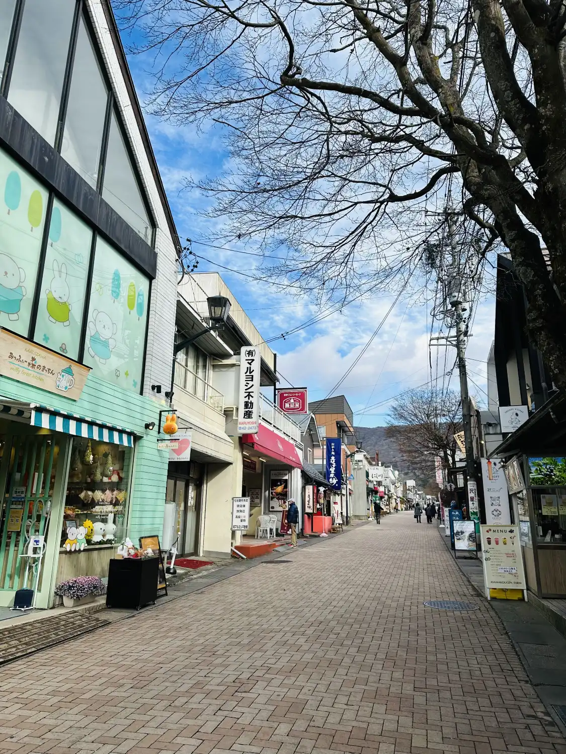 Hotels near Old Karuizawa Ginza Street