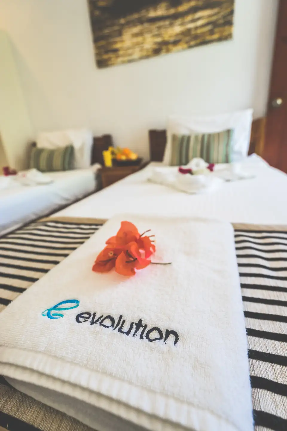3_Evolution Diving