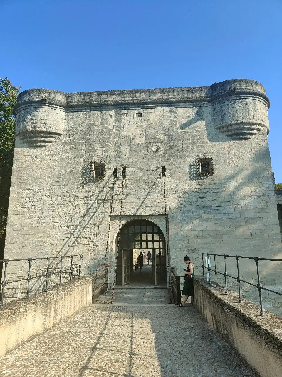 5_The Bridge of Avignon