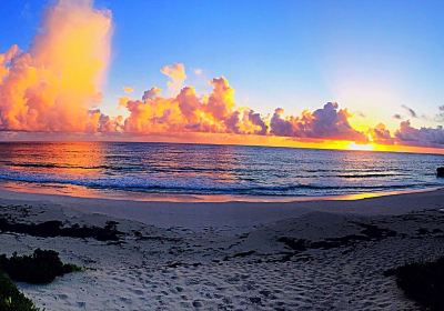 Great Guana Cay