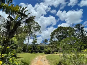 Nahampoana Reserve